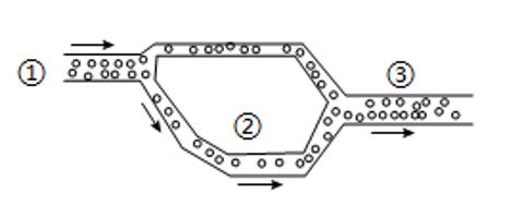 <p>如图是小林用管壁厚度及管径不同的塑料管和棋子制作的血管模型，箭头表示棋子的运动方向，下列叙述不正确的是</p>