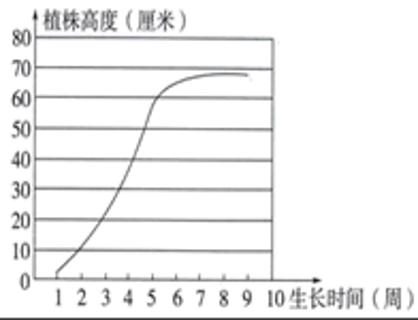 <p>根据统计图可以推测，从第7周开始，凤仙花最有可能是（&nbsp;&nbsp;&nbsp; ）了。</p>