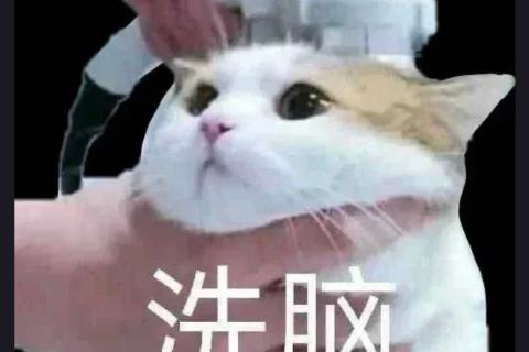 1718 侬民45题 - 2