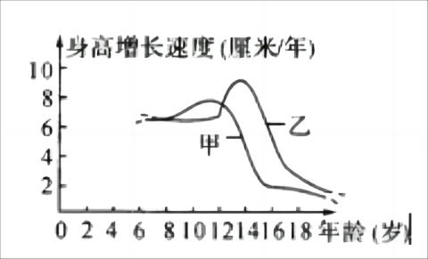 <p>青春期是人一生中身心发展的重要时期。  图表示某地男女身高增长速度变化的曲线。 请回答下列问题：（1）乙表示的是________ (填“男”或 “女”)性身高增长速度的变化曲线。  （2）专家建议青少年要多吃含________ (填“蛋白质”、“糖类”或“脂肪”)丰富的食品，因为它是人体细胞生长及修补组织的主要原料。</p>