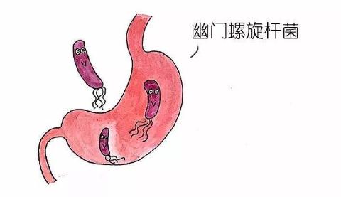 <p>长期感染幽门螺杆菌可导致局部胃腺萎缩&#xff0c;让人患萎缩性胃炎&#xff0c;影响消化功能。据此可推测萎缩性胃炎患者&#xff08;   &#xff09;<span data-tex=""> </span></p>