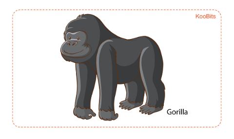 <p>Fill in the box with &#39;kg&#39; or &#39;g&#39;.150&#xff08;      &#xff09;</p>