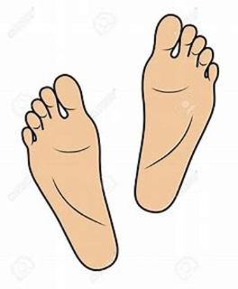 <p>看图选单词</p>