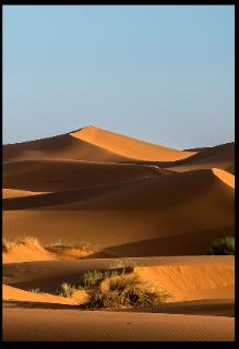 <p>What habitat is this?  这是什么栖息地？</p>