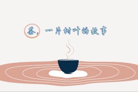 茶，一片树叶的故事
