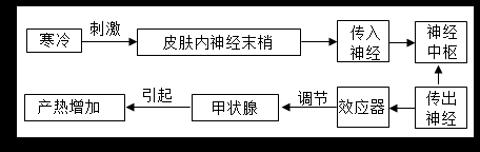 <p>冬天人体的体温也能维持相对恒定，其调节过程如图。下列叙述正确的是</p>