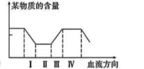 <p>图示人体血液中某物质含量变化情况&#xff0c;Ⅰ、Ⅱ、Ⅲ、Ⅳ表示血液流经的器官或结构。下列说法正确的是&#xff08;  &#xff09;</p>