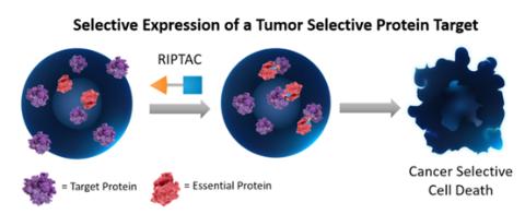 <p>Halda核心技术平台为 <strong>RIPTAC™</strong> 调节诱导接近靶向嵌合体。RIPTAC 技术与传统靶向疗法相比的最大优势之一是什么？</p>