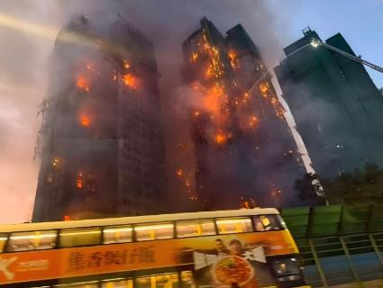 <p>Which one causes the most  serious loss in our civil society ?</p>
