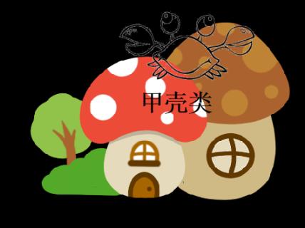 <p>下列哪种动物属于甲壳动物&#xff1f;</p>