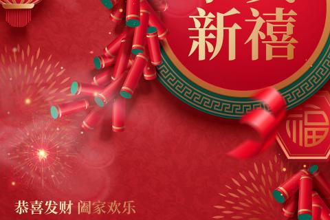 Summary-Spring Festival