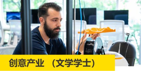 <p>以下哪所大学是北美第一个开设创意产业本科学位的大学？</p>