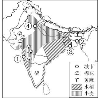 <p><strong>读“南亚地区农作物分布图”&#xff0c;完成下面小题。</strong><span data-tex=""> </span>据图可知&#xff0c;有关南亚农作物分布叙述正确的是&#xff1f;</p>