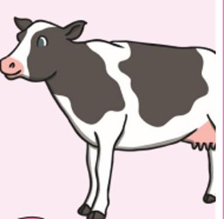 <p>What animal is it?</p>