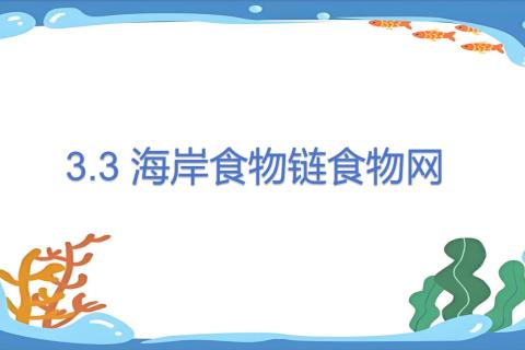 3.3 海岸食物链食物网