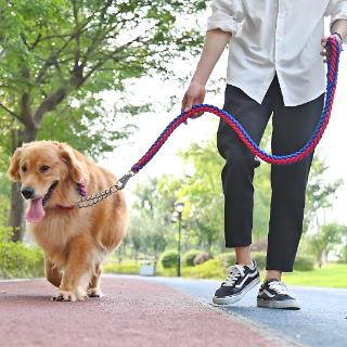<p>The dog was kept on a ( ).</p>