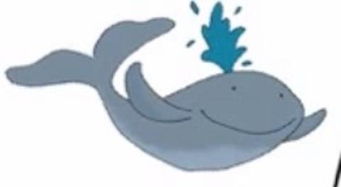 <p>看图选单词</p>