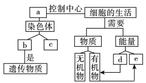 <p>小景学习了细胞的结构和功能后，绘制了下图所示概念图，其中a、b、c、d分别表示不同的结构或物质，下列分析不正确的是（ ）</p>