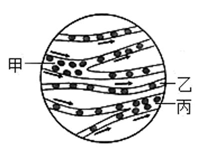 <p>如图是小鱼尾鳍内血液流动示意图。下列叙述正确的是（　　）</p>