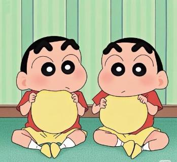 <p>Twins usually look so alike.</p>