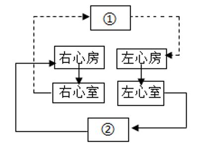 <p>14.如图是人体的血液循环示意图，①②表示两处发生气体交换的场所。下列有关叙述正确的是(     )<span data-tex=""> </span></p>