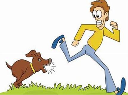 <p>The dog is running<u>              </u> the man.</p>