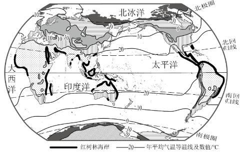 <p>世界上的红树林主要分布在（ ）</p>