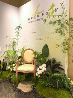 <p>图片中主要植物材料品种是什么？</p>