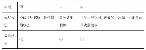 <p>为了探究甲状腺的功能，同学们利用蝌蚪进行了如表所示的实验。正常情况下，下列叙述错误的是</p>