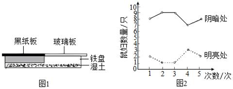 <p>为了探究鼠妇适宜的生活环境，小明进行了如图实验。下列叙述正确的是（　　）</p>