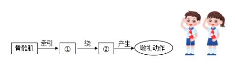 <p>随着国旗升起，少先队队员纷纷举手敬礼并齐唱国歌，下面有关叙述错误的是</p>