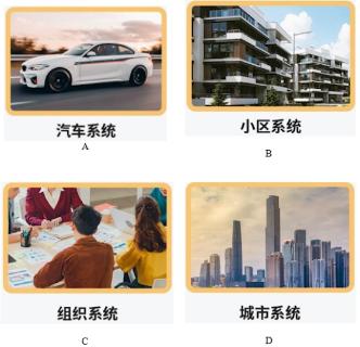 <p>以下哪些是系统&#xff1f;</p>