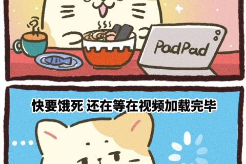 本周你最下饭的榨菜类型是什么？