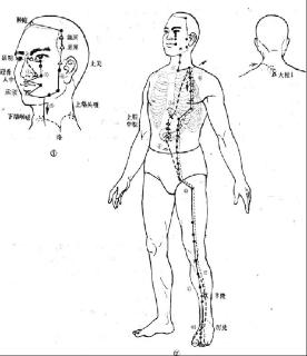 <p>图片为哪条经脉</p>