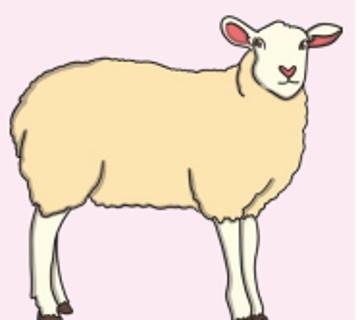 <p>What animal is it?</p>