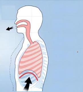 <p>As shown in the diagram, arrange in the correct sequence.</p>