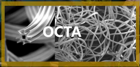 <p>关于OCTA，以下描述正确的是？</p>