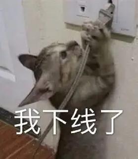 <p>What's the best verb to describe this picture?</p>