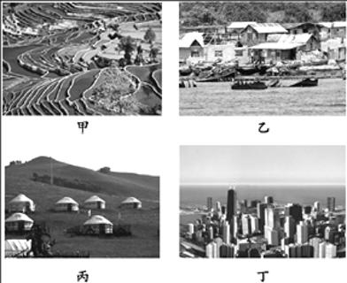 <p>下列有关聚落的叙述正确的一项是</p>
