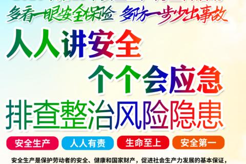 安全类
