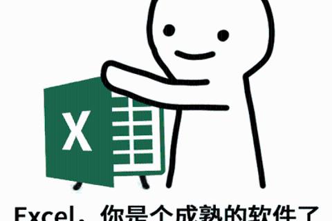 Excel财务数据处理与分类汇总第6次