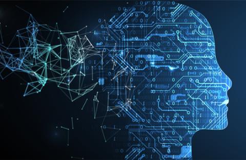 <p>What does the term &#34;neural network&#34; refer to? </p>