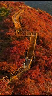 <p>10.1期间顾客想去香山看红叶, 请帮助顾客选一身装备</p>