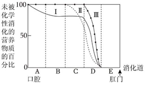 <p>消化道是食物消化和营养物质吸收的场所。如图的字母（A～E）表示消化道的不同部位。曲线（Ⅰ～Ⅲ） 表示小明一日三餐的食物在消化道中的消化情况。请据图分析（ ）</p>